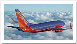 southwest airlines baggage fees 2014